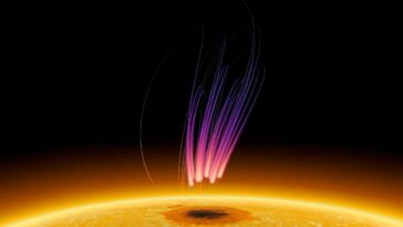 SciTechDaily