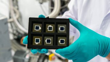 SciTechDaily