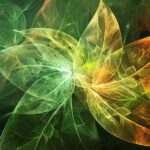 Des scientifiques découvrent les secrets atomiques de la photosynthèse SciTechDaily