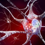 Des scientifiques découvrent un complément alimentaire qui supprime fortement la neurodégénérescence de la maladie de Parkinson SciTechDaily