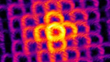 SciTechDaily