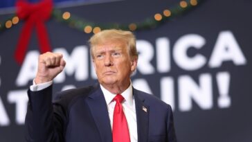 Donald Trump, qui s'attribue régulièrement le mérite du meurtre de Roe v. Wade, suggère qu'il est ouvert à une interdiction nationale de l'avortement
