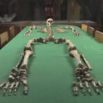 Évitement de la consanguinité : l'ADN ancien révèle des structures sociales inattendues dans l'Europe de l'âge de pierre SciTechDaily