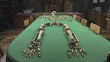 SciTechDaily