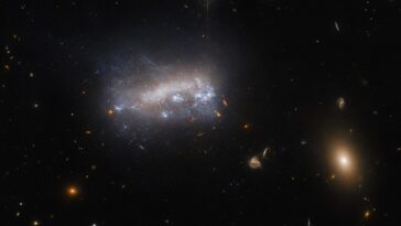SciTechDaily