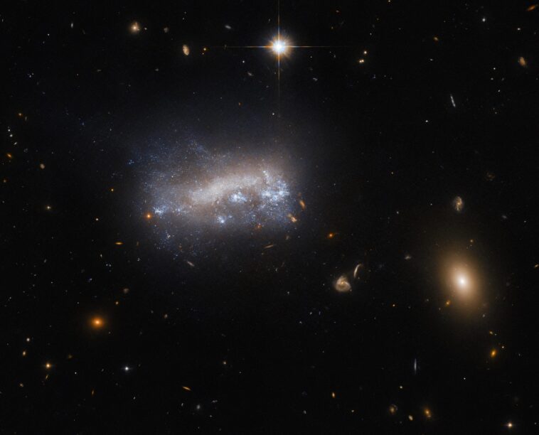 Galaxies spirales de Magellan décodées : Hubble capture LEDA 42160 SciTechDaily