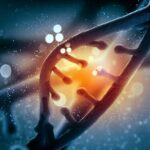 Gènes voyageant dans le temps : un ADN ancien révèle le syndrome de Down dans les sociétés humaines passées SciTechDaily