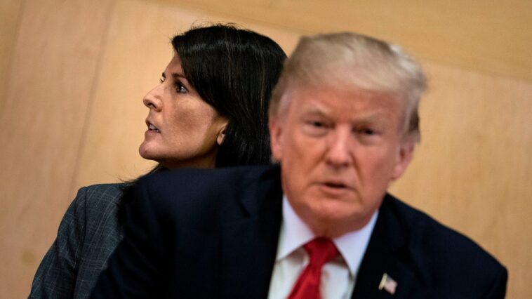 Haley prévient que Trump va enterrer ses affaires criminelles si elles ne sont pas « traitées » avant les élections Haley prévient que Trump va enterrer ses affaires criminelles si elles ne sont pas « traitées » avant les élections