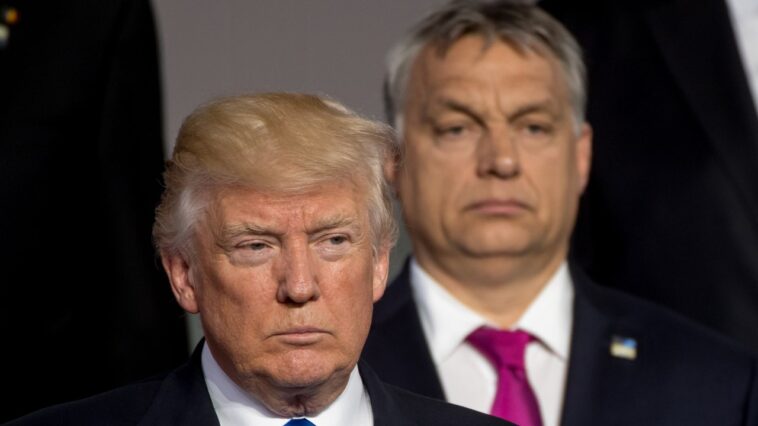 Joe Biden déchire Trump pour sa rencontre à Mar-a-Lago avec Viktor Orban