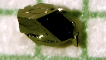 SciTechDaily