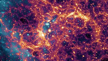 SciTechDaily