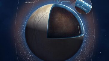 Charged Particles From Jupiter Impacting Europa’s Surface