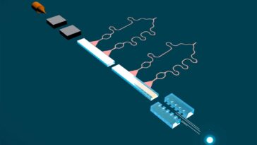 SciTechDaily