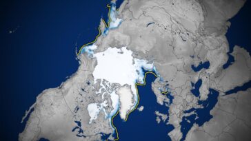 Le retrait alarmant de la banquise arctique se poursuit en 2024