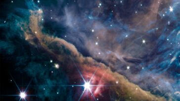 SciTechDaily