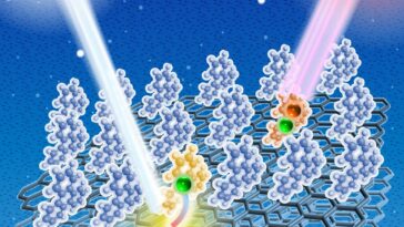 SciTechDaily