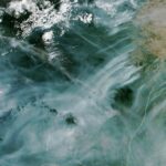 L'enfer du Roraima : une vue satellite de la forêt amazonienne en flammes