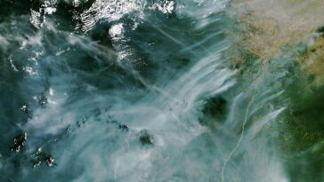 L'enfer du Roraima : une vue satellite de la forêt amazonienne en flammes