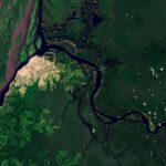 Les mystères du carbone de la rivière Ruki : faire la lumière sur une rivière très sombre Les mystères du carbone de la rivière Ruki : faire la lumière sur une rivière très sombre