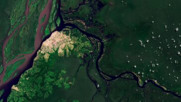 Les mystères du carbone de la rivière Ruki : faire la lumière sur une rivière très sombre