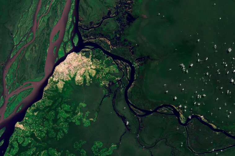 Les mystères du carbone de la rivière Ruki : faire la lumière sur une rivière très sombre Les mystères du carbone de la rivière Ruki : faire la lumière sur une rivière très sombre