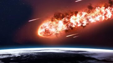 SciTechDaily