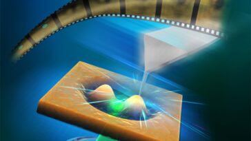 SciTechDaily