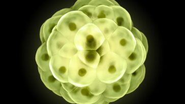 SciTechDaily