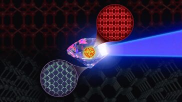SciTechDaily