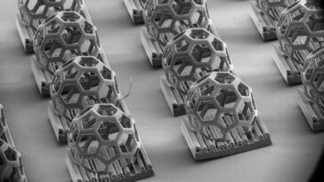 SciTechDaily