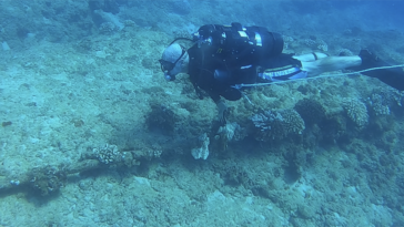 Members of the Naval Aviation Training Systems and Ranges program office (PMA-205), divers from the Army’s 7th Engineer Dive Detachment, and members of Underwater Tracking Systems at the Pacific Missile Range Facility (PMRF) recently completed a month-long inspection and sustainment operation on critical pieces of undersea infrastructure in Kauai, Hawaii. Lt. Cmdr. Paulstephen Chierico, PMA-205 ocean facilities team lead, visually inspects undersea cables at PMRF on a recent dive. (U.S. Navy Photo)
