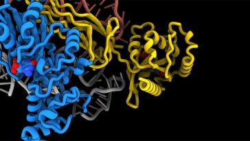 SciTechDaily