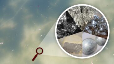 SciTechDaily