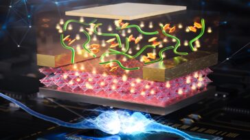 SciTechDaily
