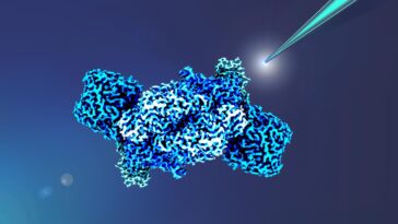 SciTechDaily
