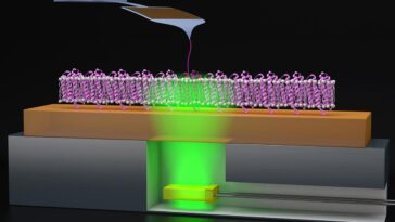 SciTechDaily