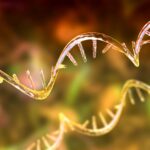 Plateforme de lancement pour la perte de poids : Space Tech augmente l’efficacité du traitement par ARNm de l’obésité SciTechDaily