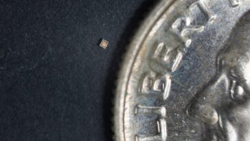 SciTechDaily