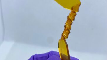 SciTechDaily