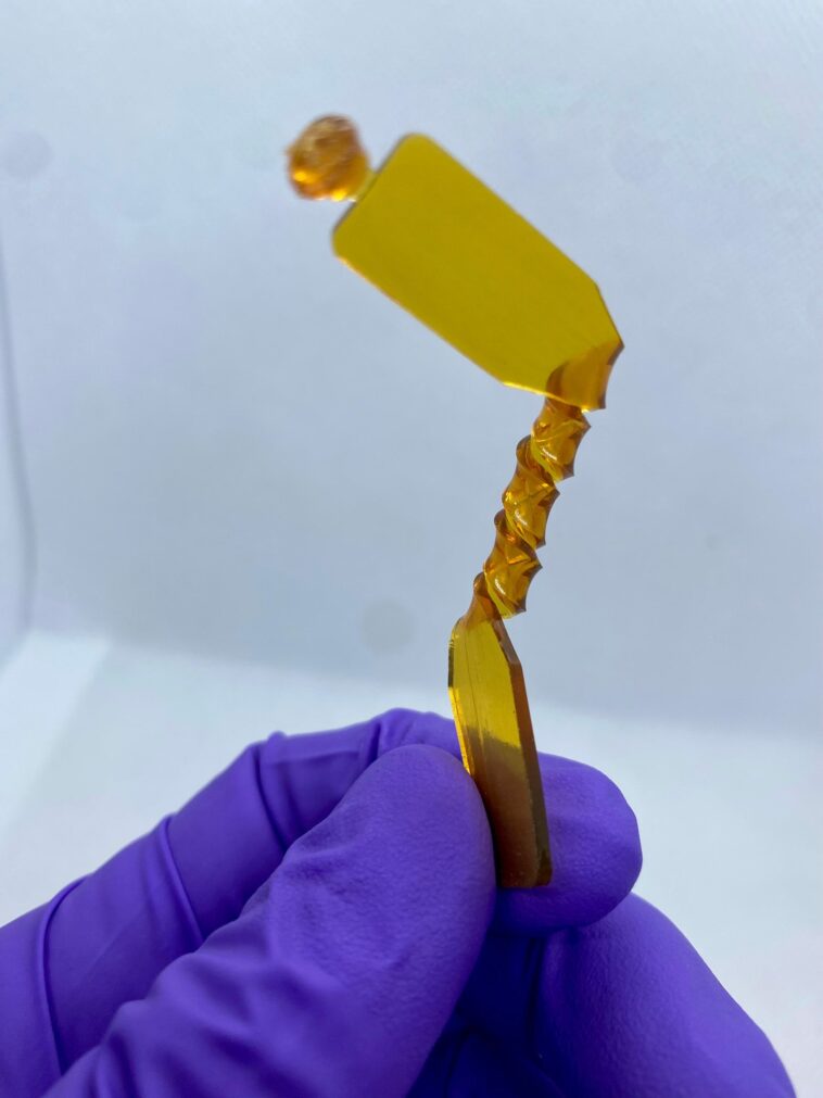 SciTechDaily