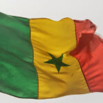 cc Bajpaiabhinav, modified, https://commons.wikimedia.org/wiki/File:Senegal_Flag.jpg