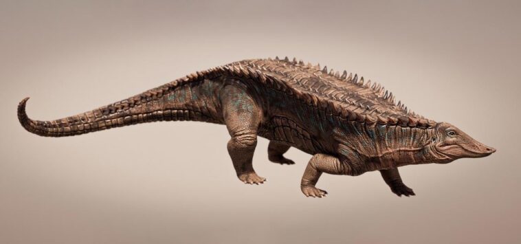 Titans du Trias : un nouvel ancêtre crocodile découvert au Texas révèle les secrets de l'évolution de l'armure SciTechDaily