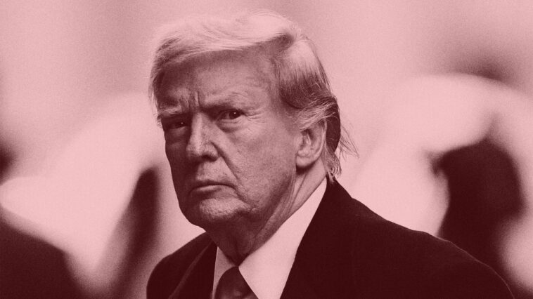 Truth Social de Donald Trump est un stock de mèmes.  Alors, que se passe-t-il ensuite ?