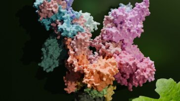 SciTechDaily