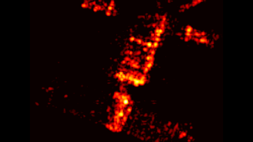 SciTechDaily