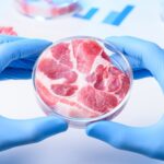 Une avancée technologique pourrait réduire les coûts de production de viande cultivée jusqu'à 90 % SciTechDaily