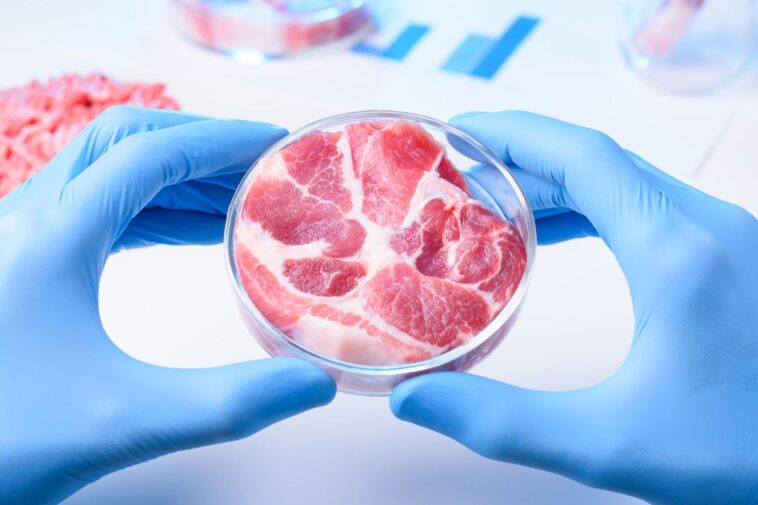 Une avancée technologique pourrait réduire les coûts de production de viande cultivée jusqu'à 90 % SciTechDaily