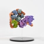 Une nouvelle biologie dévoilée pour les machines cellulaires fondamentales SciTechDaily