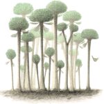 Vieille de 390 millions d'années – Des scientifiques découvrent la plus ancienne forêt fossilisée du monde SciTechDaily