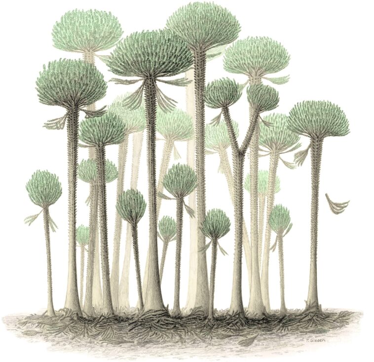 Vieille de 390 millions d'années – Des scientifiques découvrent la plus ancienne forêt fossilisée du monde SciTechDaily